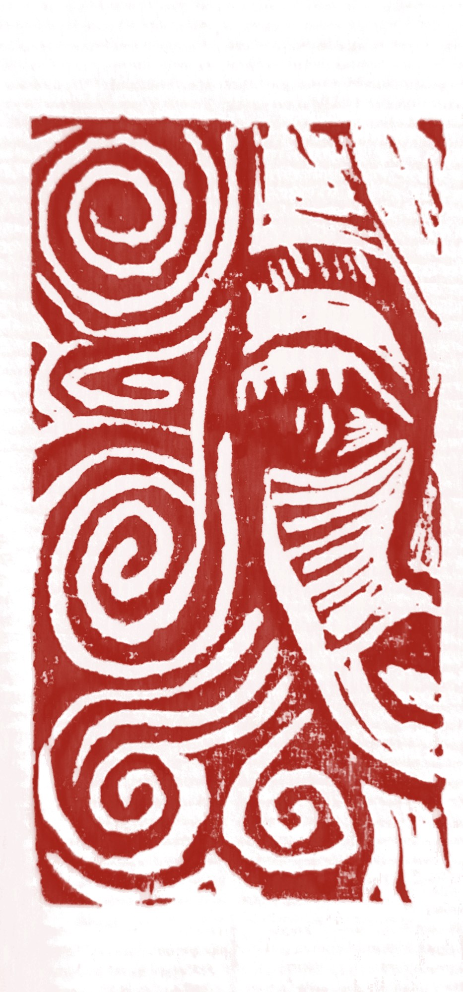 Nueva obra